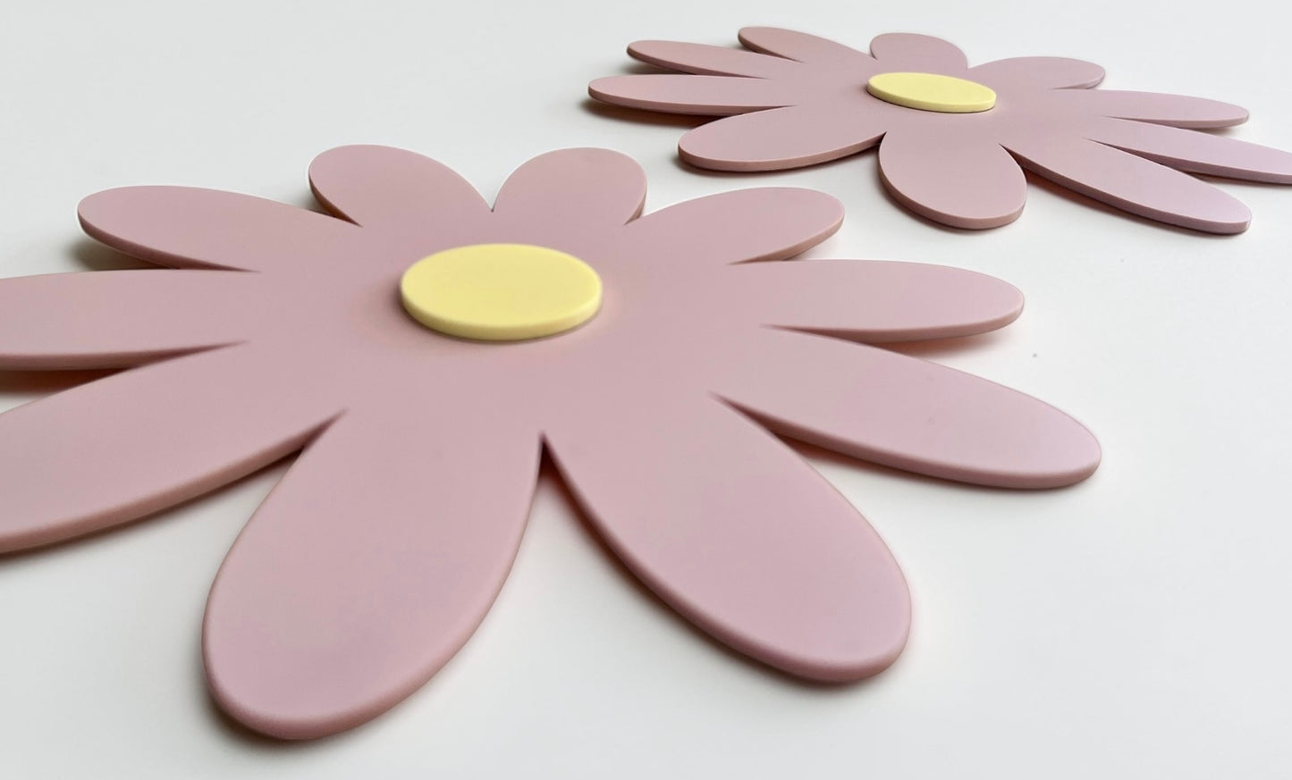 Wall Daisies