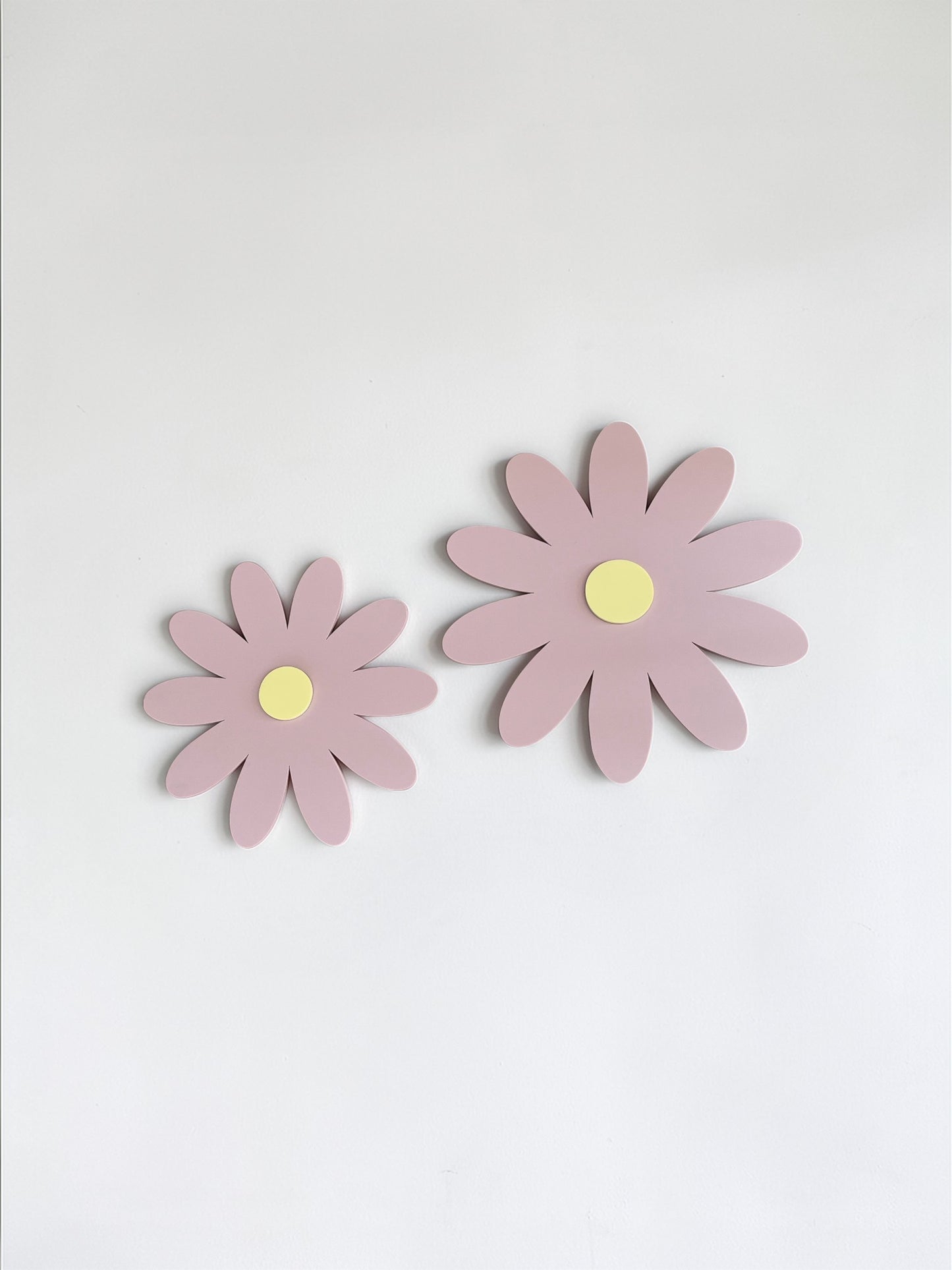 Wall Daisies